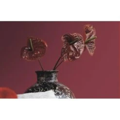 Alpina Farbrezepte Flammendes Herz Matt 2,5 Liter -Innenfarben Verkauf 380122 picture 3