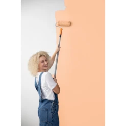 Alpina Wandfarbe 'Pure Farben' Papayaorange Matt 2,5 L -Innenfarben Verkauf 8111497 ambiente 02