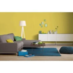 Alpina Farbrezepte Sommerzeit Matt 1 Liter -Innenfarben Verkauf 942834 4983 1 1