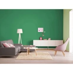 Alpina Farbrezepte Wildes Paradies Matt 2,5 Liter -Innenfarben Verkauf 942835 4983 1